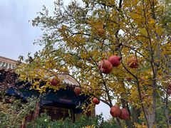 -范家小馆·烤鸭新京菜(金融街店)