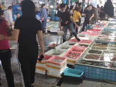 -霞涌市场海鲜摆卖区