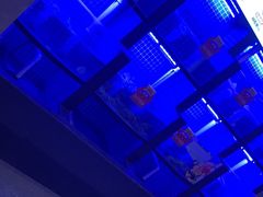 -七欣天香辣蟹火锅(闵行浦江欢乐颂店)
