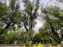 -南长河公园