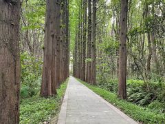-同里国家湿地公园