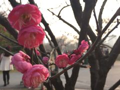 -大宁灵石公园西门票处