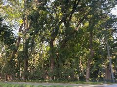 -人民公园(罗湖区)