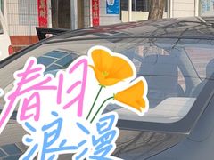-北京派仕佳德动物医院·超导核磁·CT·神经科·骨科·内外科·急重症管理中心