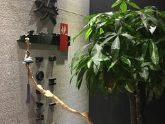 -石葵(锦业时代店)