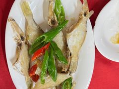 -蛇口康乐快餐鱼仔档(翠苑小区店)