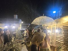 -HERRE·FARM 赫尔露营农场·团建聚会包场