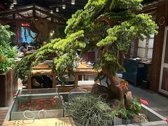 -丹江渔村(首都机场店)
