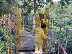 -杭州少年儿童公园