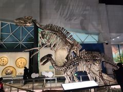 -湖南省地质博物馆