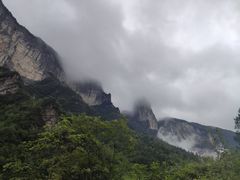 -鹿院坪生态旅游景区