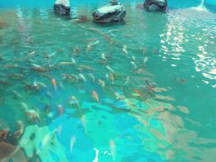 -北戴河圣蓝海洋公园