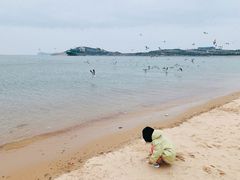 -海驴岛(荣成市)