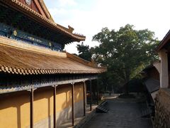 -普陀山风景名胜区-法雨禅寺