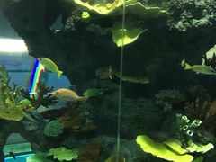 -福州罗源湾海洋世界旅游区