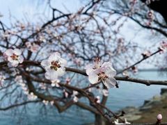 -颐和园