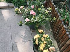 -美味之家·湖景农家乐(太湖东山店)