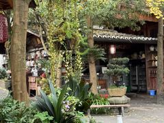 -青城甲(青城山店)