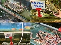 -南丫岛