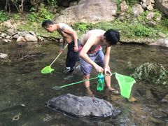 -林坑古村落