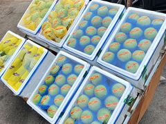 -大连果菜批发市场