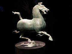 -甘肃省博物馆