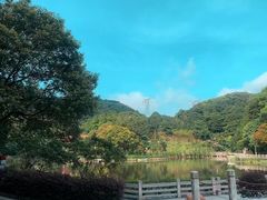 -广州市帽峰山景区