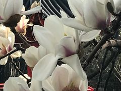 -上海虹桥宾馆味翠餐厅