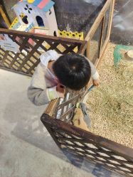 -酷嗒动物文化乐园(cutezoo西溪乐天城店)