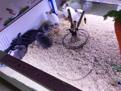 -大玩家(拱墅万达店)