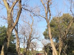 -汇龙潭