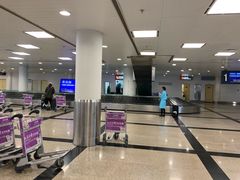 -厦门高崎国际机场-T3航站楼