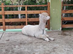 -华谊兄弟（长沙）电影小镇