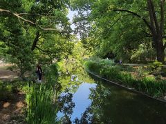 -上海共青森林公园