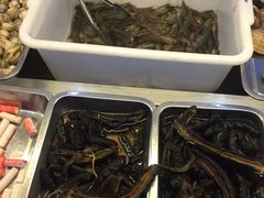 -春华海鲜城(广场西苑店)