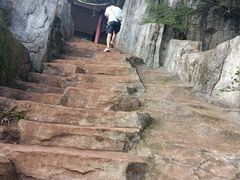 -长虫山生态公园风景林