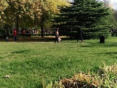 -方庄体育公园