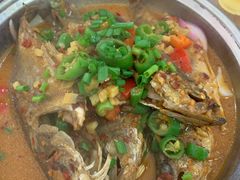 -龙小海荆沙鸽子店(瑞安街店)