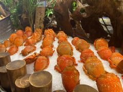 -喜庭海鲜自助(来福士店)