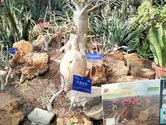 -国家植物园南园