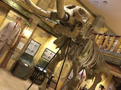 -信不信由你博物馆