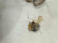 -台州老六海鲜面馆(上南总店)