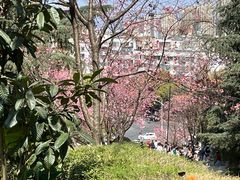 -昆明动物园