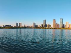 -天鹅湖体育公园