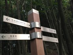 -南山植物园