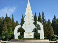 -水杉园