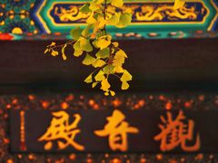 -八大处公园
