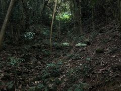 -小南山公园