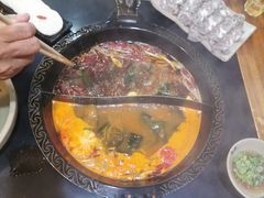 -渝大龙重庆火锅(温泉月亮湾店)