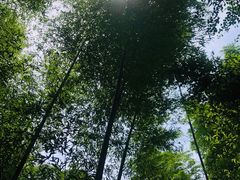 -天目湖刘老四农庄